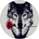 Nicholas Morales profile picture